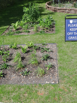 Trinity John Ray Garden